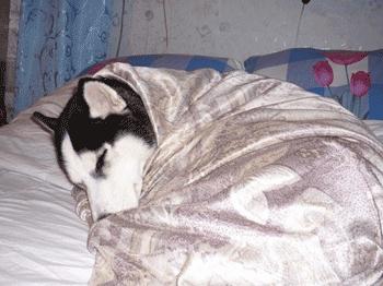 为什么美瞳隐形眼镜戴久了会模糊,美瞳戴上之后四周感觉视线模糊