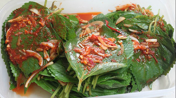 日本、韩国料理常用的1种叶子，中医早就用来祛除痰湿