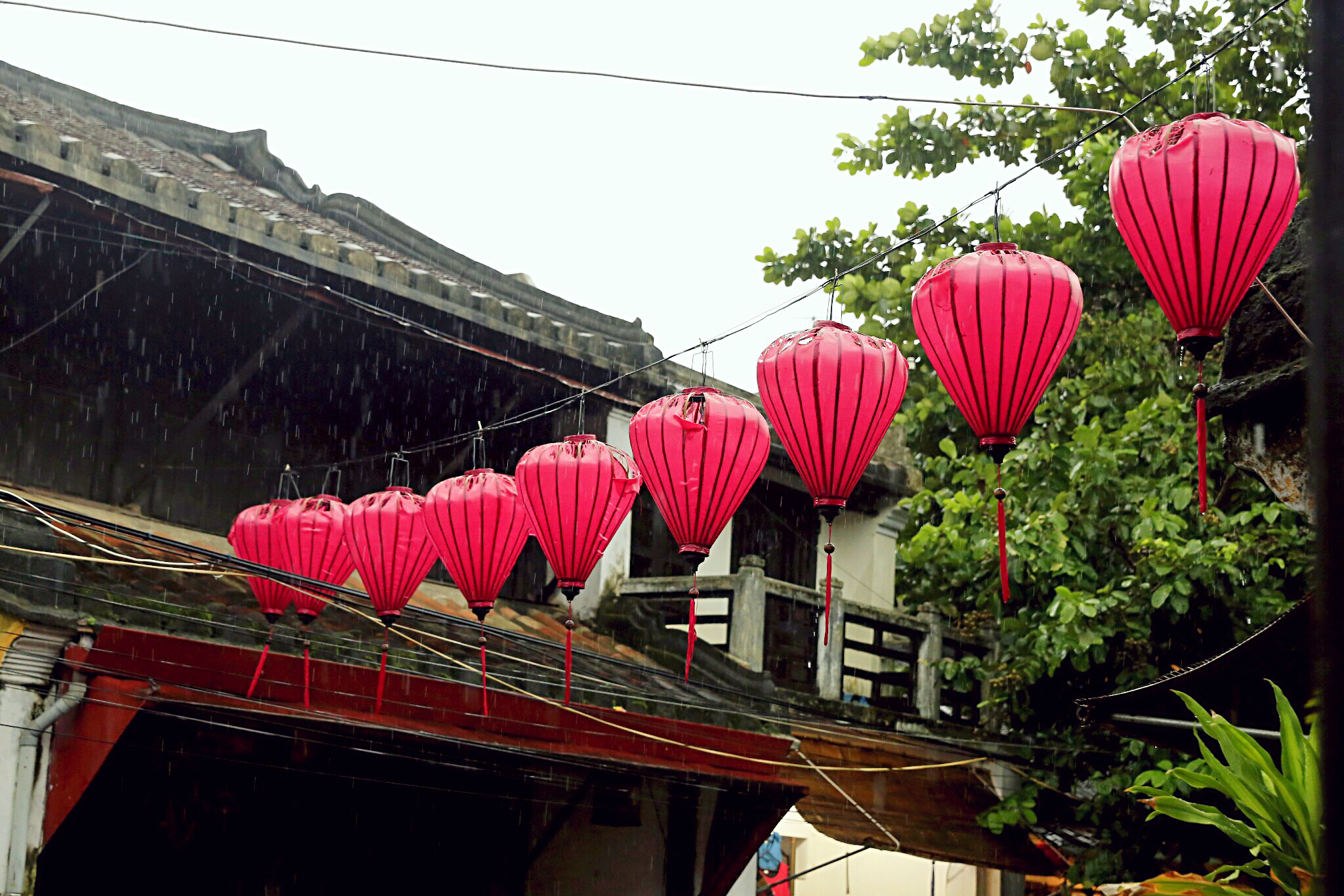 在越南会安古镇，喝一杯柠檬叶荷花茶、拍一次灯笼里的订婚照