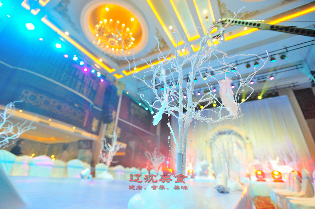 沈阳办场婚礼多少钱,请问现在办婚宴需要多少钱一桌