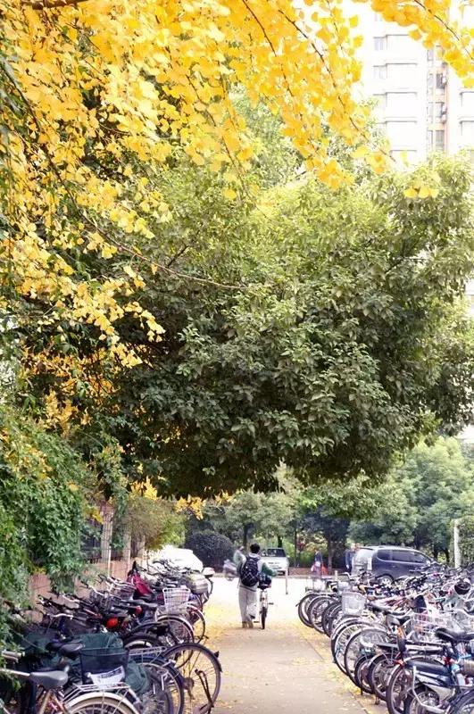 所有物是人非里我最怀念你，南京二十九中