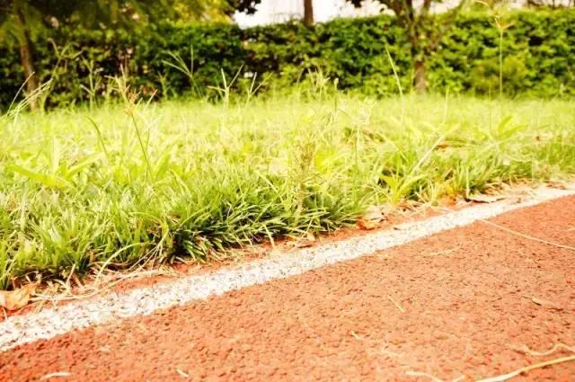 所有物是人非里我最怀念你，南京二十九中