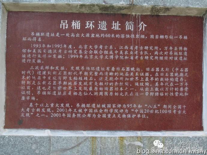 水稻起源和人类文明,关于水稻的科普问题