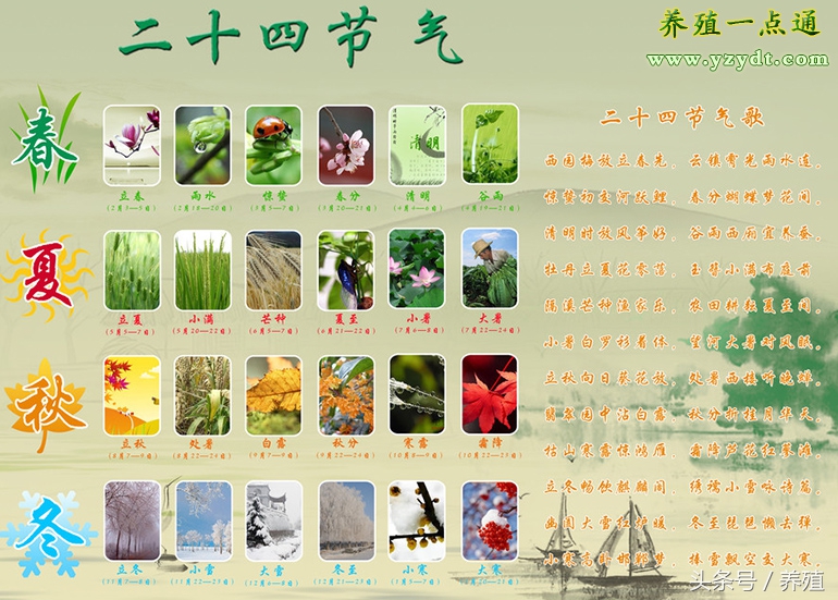 二十四节气抗疫,二十四节气养肝护肝