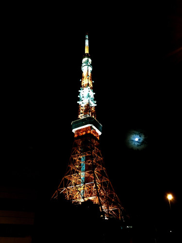 初秋日本快步东京，慢行北海道，泡汤美食8日