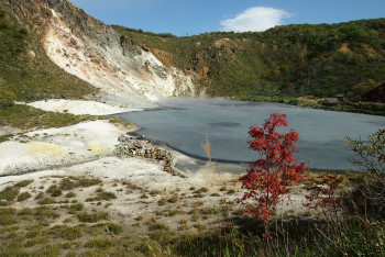 初秋日本快步东京，慢行北海道，泡汤美食8日