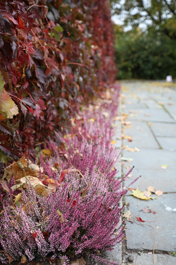 佳能16-35mmF2.8III镜头评测：9年换代值得等