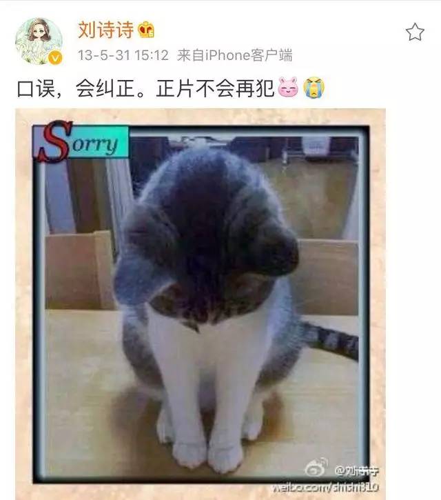 杨幂刘诗诗谢娜林志玲纷纷说错话,到底谁比较尴尬?