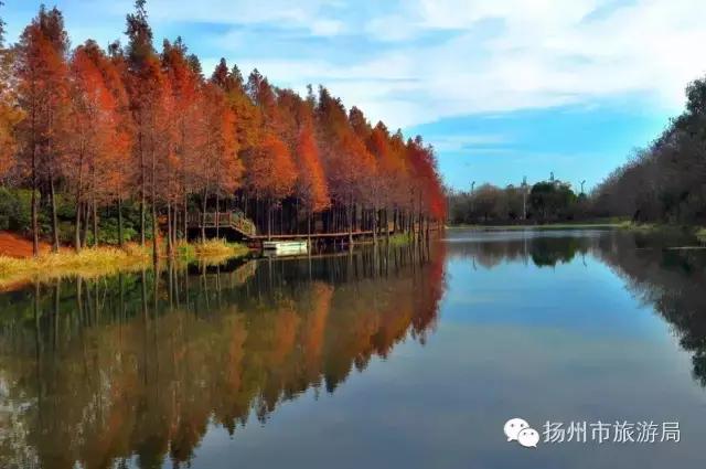 明日立冬，扬州最美的秋景都在这里啦！