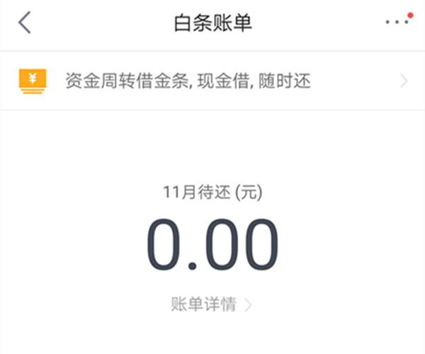 使用京东白条后怎么还款,京东白条怎么一次性还款