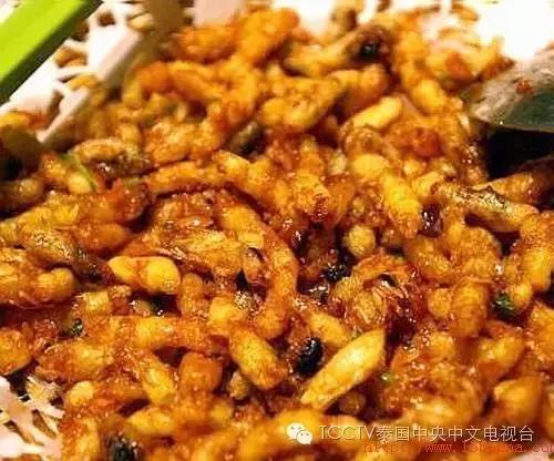 泰可怕这个居然也能吃？