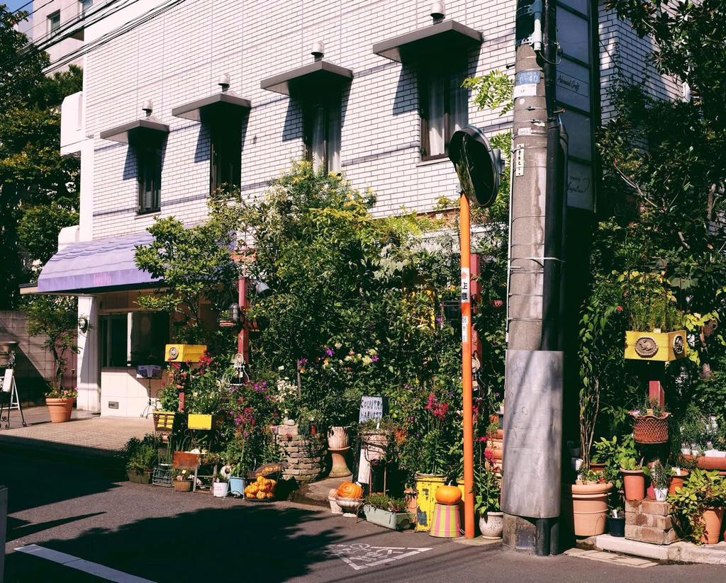 吃遍日本寿司,吃遍日本美食视频