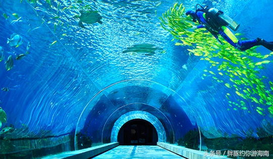 三亚小海豚酒店,小豚海南旅游攻略