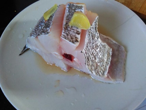 海钓米鱼讲解及示意图,海钓分析报告