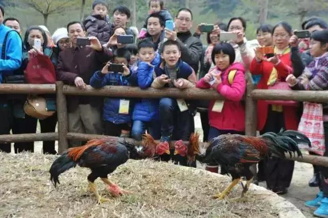 想在佛冈嗨翻天？这条路线一定让你热血沸腾！