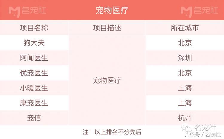 杭州互联网宠物公司有哪些,厦门宠物互联网公司有哪些