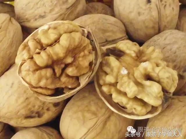 孕妇吃什么坚果长胎最快,怀孕初期吃什么坚果对胎儿发育好