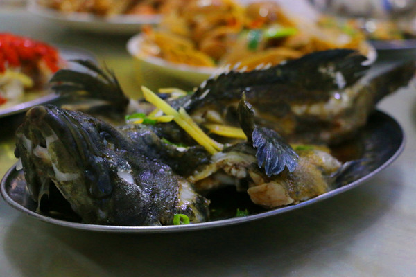 三亚最美的地方在哪里,三亚世界上最美的海在哪里