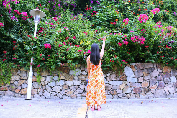 三亚最美的地方在哪里,三亚世界上最美的海在哪里