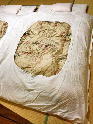 初秋日本快步东京，慢行北海道，泡汤美食8日