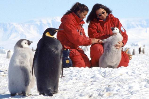 普京深蓝色大衣,普京的大衣