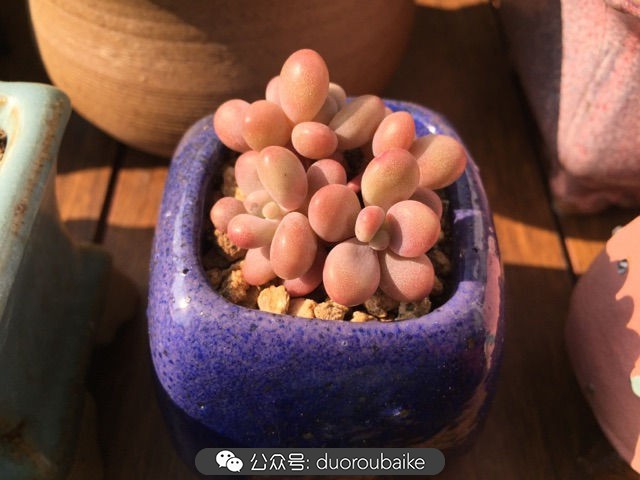 谈谈我对自己的看法,谈谈我对恋爱的看法