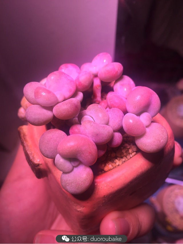 谈谈我对自己的看法,谈谈我对恋爱的看法