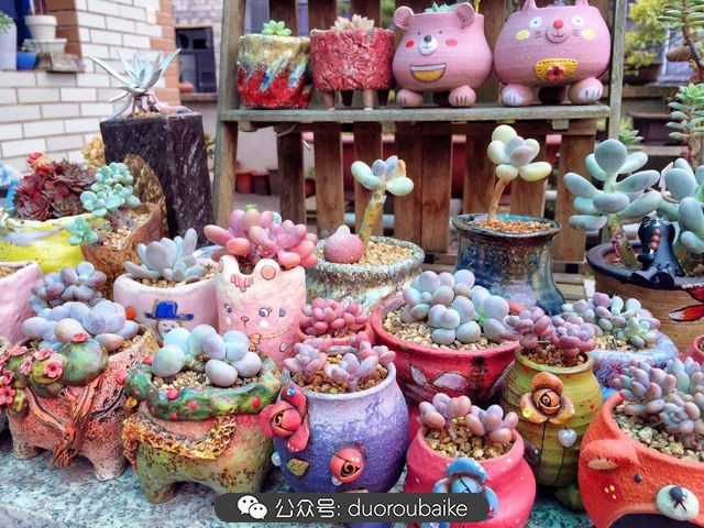 谈谈我对自己的看法,谈谈我对恋爱的看法