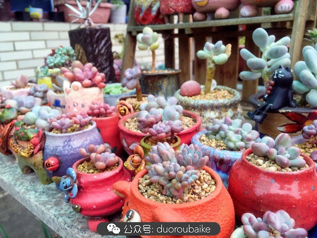 谈谈我对自己的看法,谈谈我对恋爱的看法