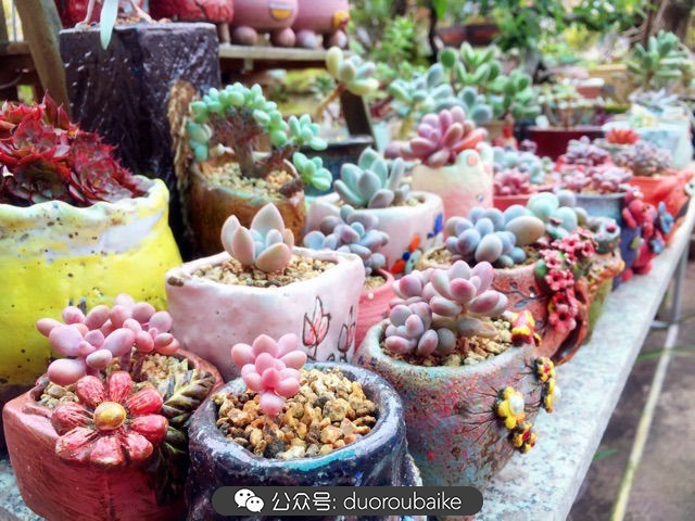 谈谈我对自己的看法,谈谈我对恋爱的看法