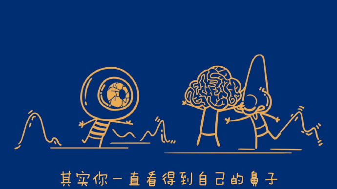 关于大脑的十个冷知识,大脑冷知识100个