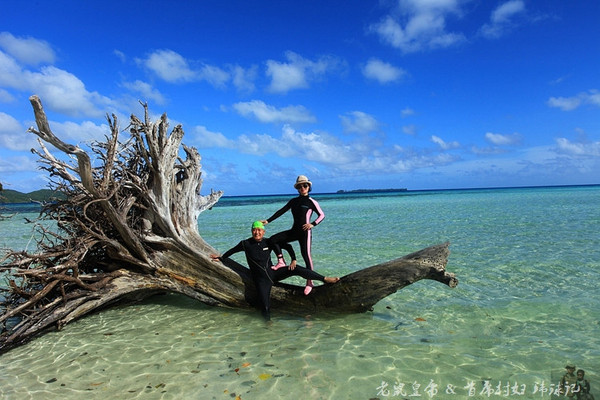 彩虹王国美术作品,彩虹王国紫色