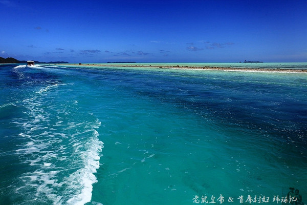 彩虹王国美术作品,彩虹王国紫色