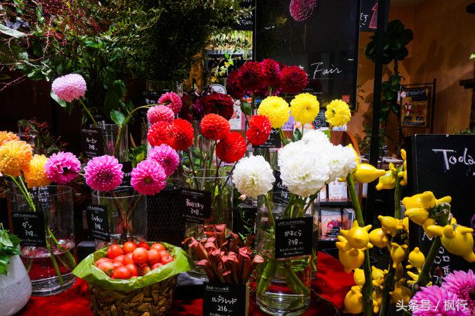 福冈护国神社名岛门,福冈的神社有哪几个