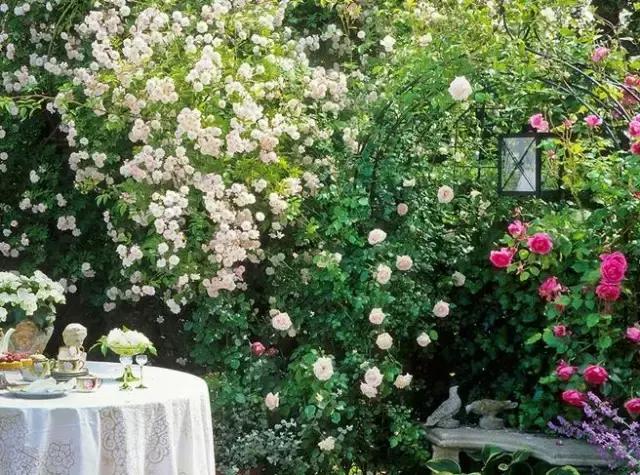 魔法集市活动,魔法集市2014