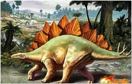 魔法集市活动,魔法集市2014