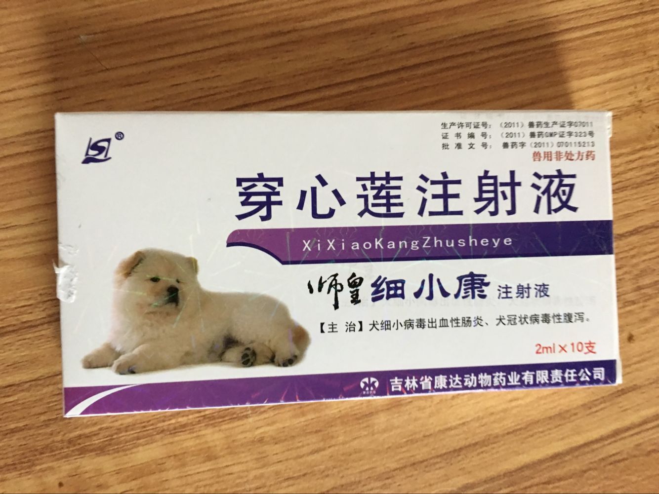 拉布拉多犬瘟弃养,被遗弃的拉布拉多幼崽