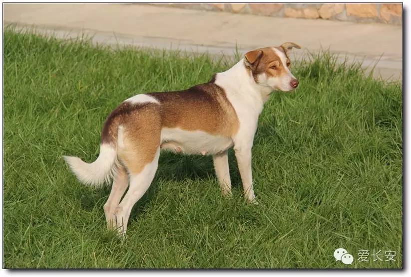西宁南山秋景自驾游攻略一日游,旅游南山