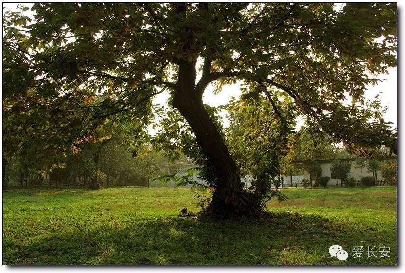 西宁南山秋景自驾游攻略一日游,旅游南山