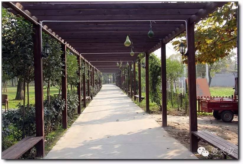 西宁南山秋景自驾游攻略一日游,旅游南山