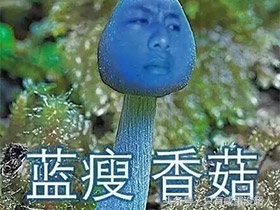 网络流行语大全及说说,网络流行语的解释