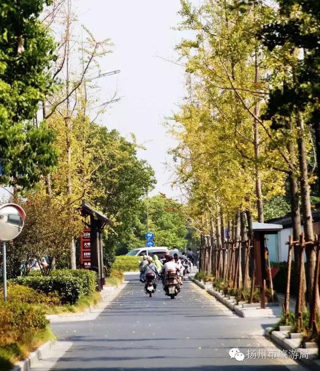 明日立冬，扬州最美的秋景都在这里啦！