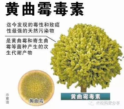 含添加剂最多的零食不能给孩子吃,含防腐剂食品孩子能吃吗