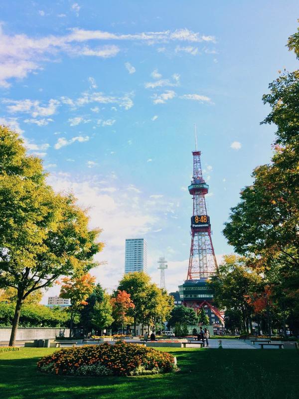 吃遍日本寿司,吃遍日本美食视频