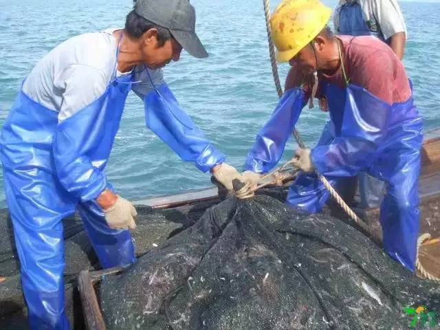 为什么平潭旅游的人少,平潭最新人才计划