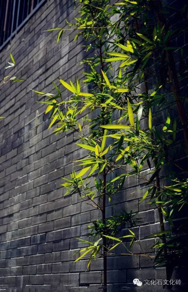 文化砖·青砖之美，如何选用