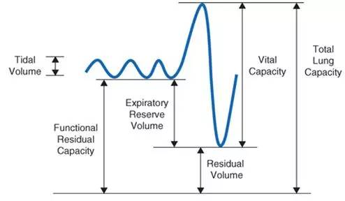 答案在一呼一吸间|一页手册·协和八