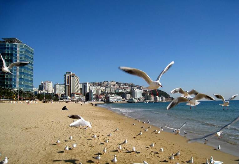 2022海洋量子号中国航线,来自未来的氢动力超级游艇