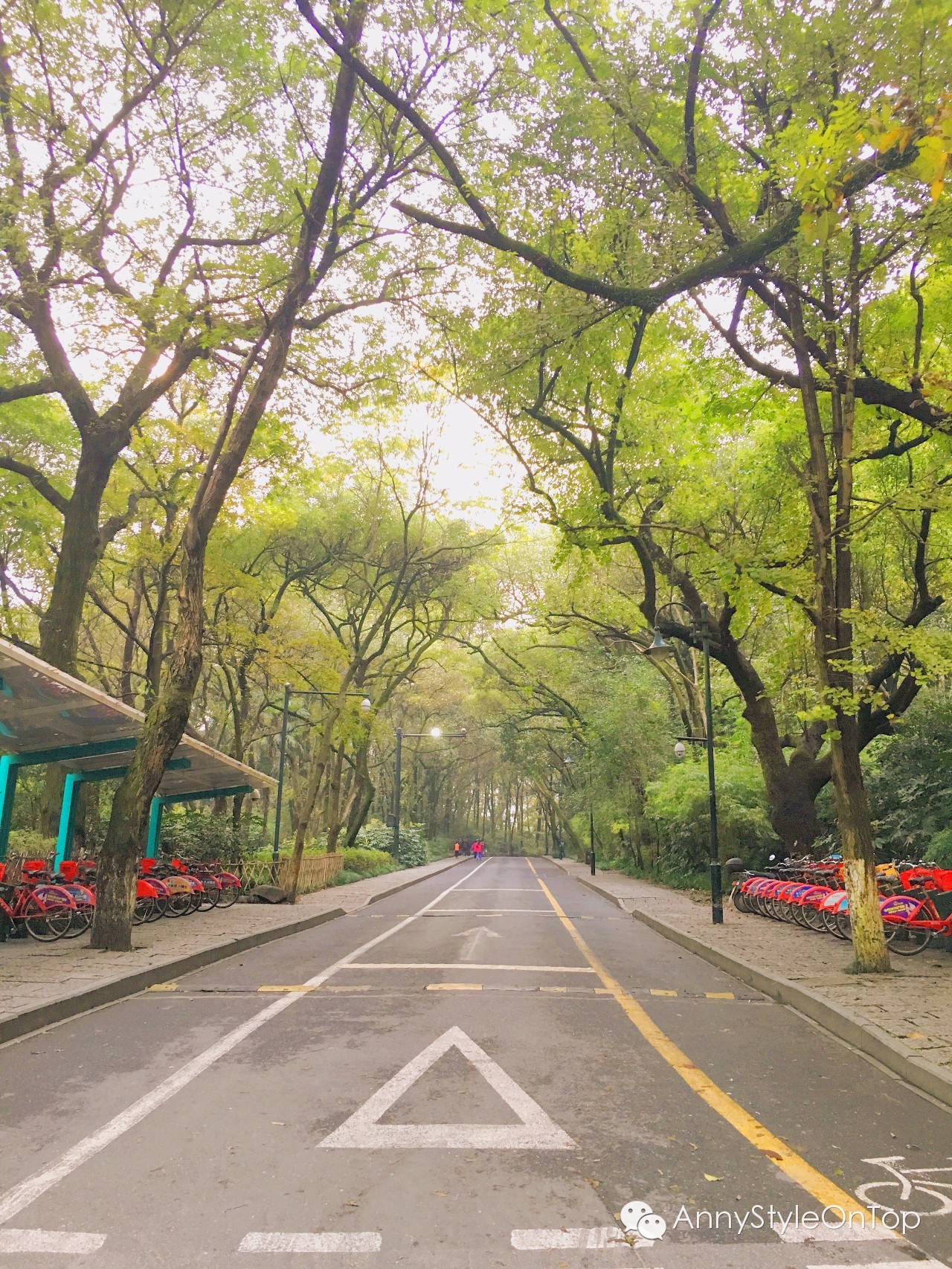 一辈子做女孩豆瓣,一辈子做女孩目录
