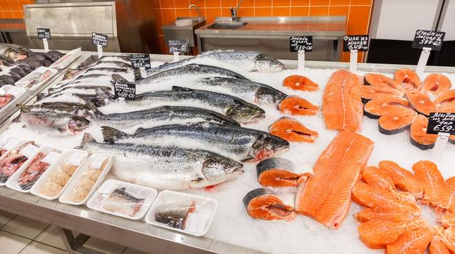 三文鱼总养殖量,全球各三文鱼产量